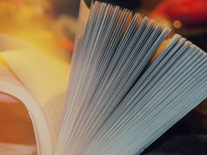 Photo by Anastasia Zhenina on Unsplash