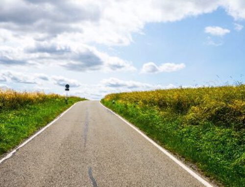 Newsletter-INKOVEMA #44: What needs to be preserved!