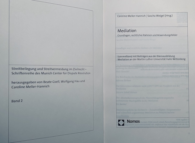 Publikation Mediation_5573