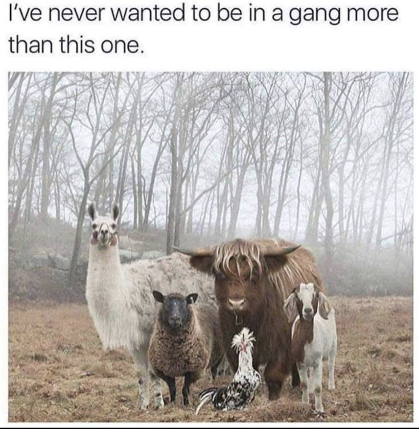 B400F000-0732-487F-981F-809D16B0EA99_1_105_c